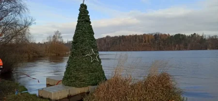 Strom na přehradě Plzeň