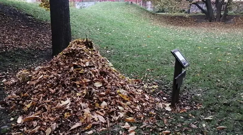 zimoviště pro ježka