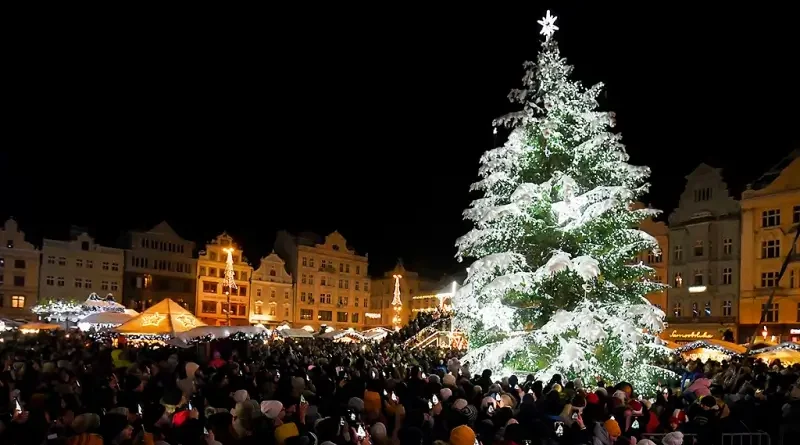 Vánoční strom 2023