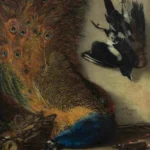 Karel Purkyně, Zátiší s pávem (Cikánova lovecká kořist), 1861, ZČG