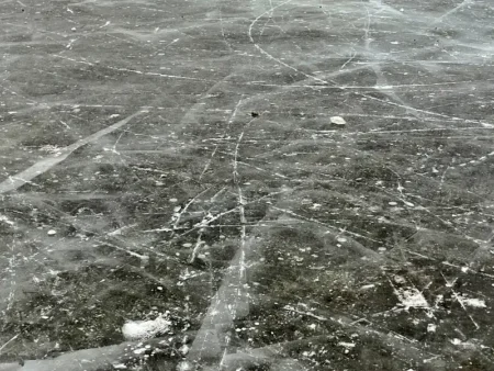 Kluziště na louce v Dobřanech