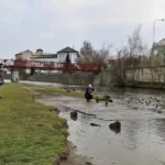 Přikrmování zvířat