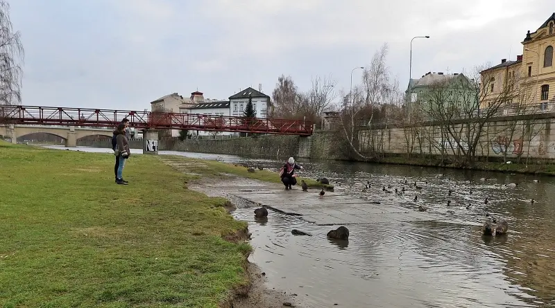 Přikrmování zvířat