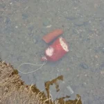 Přikrmování zvířat