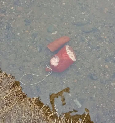 Přikrmování zvířat