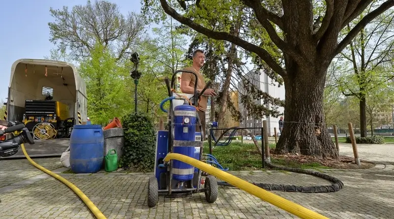 Injektáž dubu u muzea