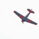 Slavnosti svobody 2024