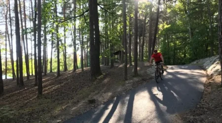 Stezka v oblasti Boleveckých rybníků
