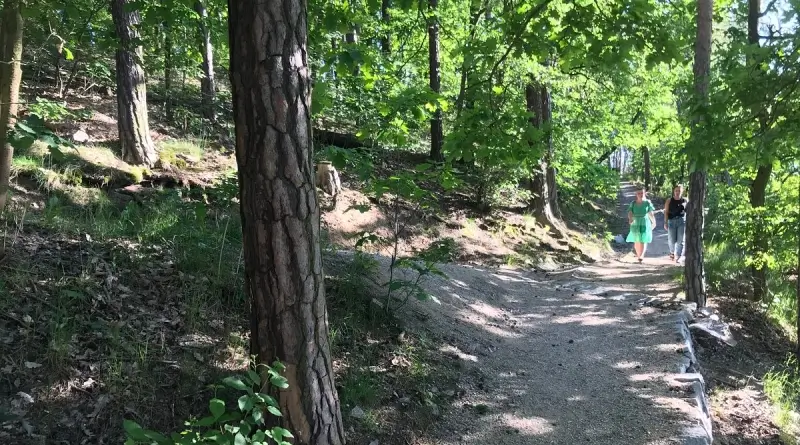 Stezka v oblasti Boleveckých rybníků