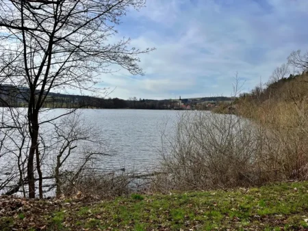 Velký žinkovský rybník