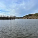 Velký žinkovský rybník