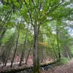 Cestou můžete obdivovat krásnou přírodu