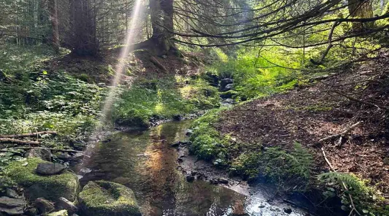 Zážitková stezka Srní