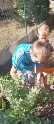 Zahradničení ve školce