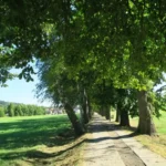 Cestou na Ticholovec