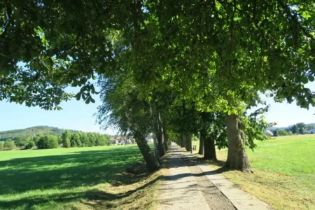 Cestou na Ticholovec