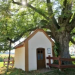 Kaplička sv. Anny památnou lípou