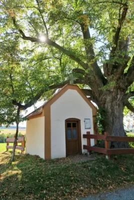 Kaplička sv. Anny památnou lípou