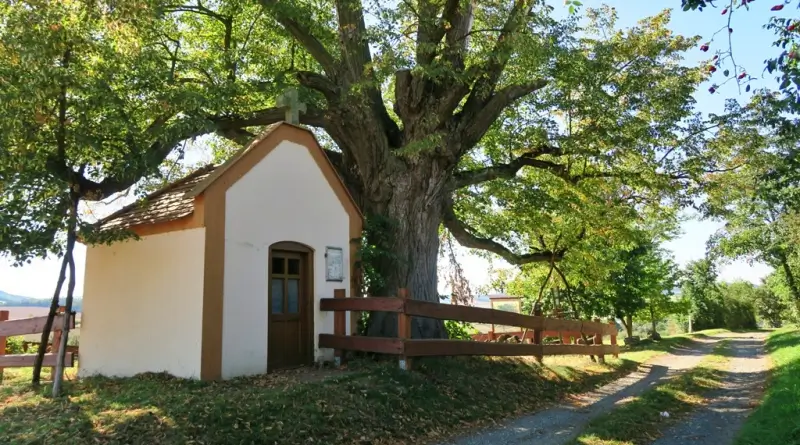Kaplička sv. Anny památnou lípou