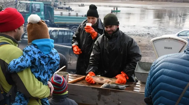 Výlov Drahotínského rybníka