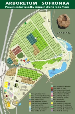 Arboretum Sofronka - plánek