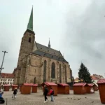 Vánoční strom bez ozdob