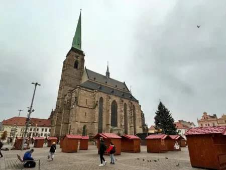 Vánoční strom bez ozdob