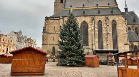 Vánoční strom bez ozdob