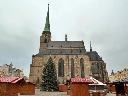 Vánoční strom bez ozdob