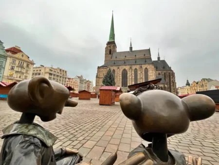 Vánoční strom bez ozdob