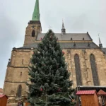 Vánoční strom bez ozdob