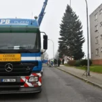 Vánoční strom 2024 - kácení