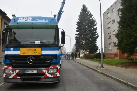 Vánoční strom 2024 - kácení