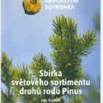 Sbírka světového sortimentu druhů rodu Pinus