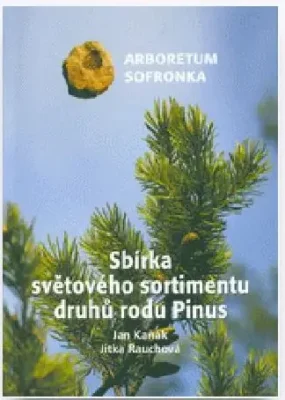 Sbírka světového sortimentu druhů rodu Pinus
