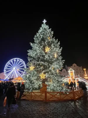 Vánoční strom Plzeň 2024