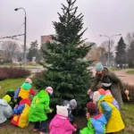 Vánoční stromky na sídlištích