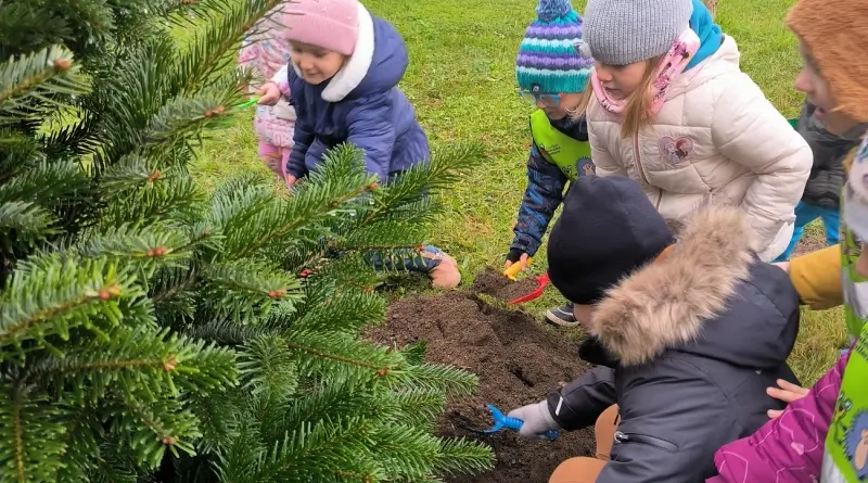Vánoční stromky na sídlištích