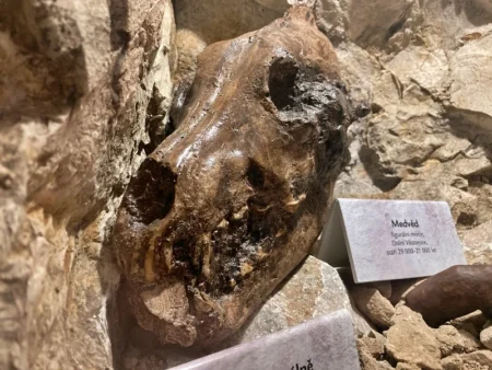 Svět podzemí v Zoo Plzeň