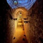 Svět podzemí v Zoo Plzeň