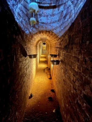 Svět podzemí v Zoo Plzeň