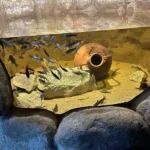 Svět podzemí v Zoo Plzeň