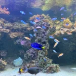 Svět podzemí v Zoo Plzeň