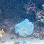 Svět podzemí v Zoo Plzeň