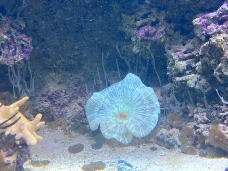 Svět podzemí v Zoo Plzeň