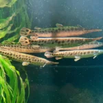 Svět podzemí v Zoo Plzeň