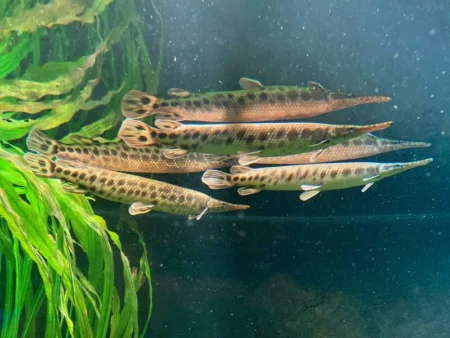 Svět podzemí v Zoo Plzeň