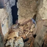 Svět podzemí v Zoo Plzeň