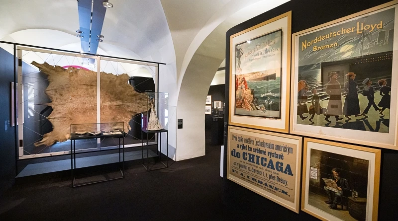 Mezi divočinou a třeštícím velkoměstem