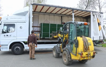 Odjezd lvic do Belgie